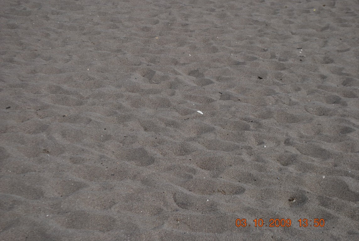 imagini hotel WOW TOPKAPI PALACE